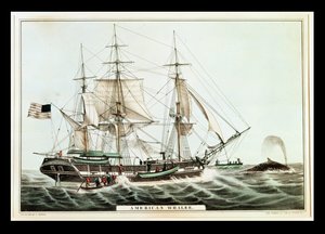 Baleia americana, gravada por Nathaniel Currier (1813-88)
